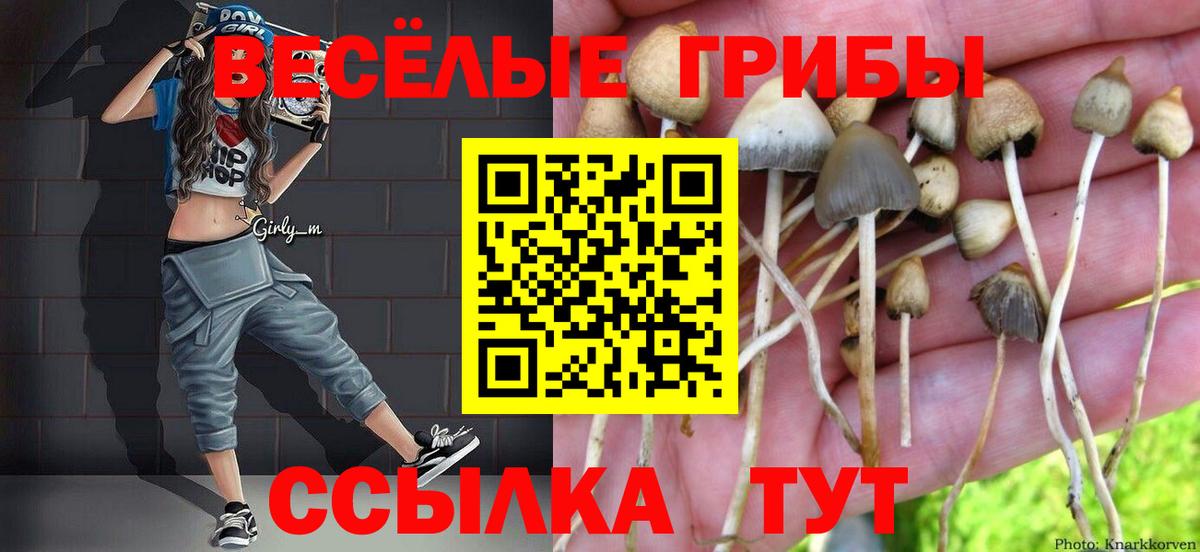 Галлюциногенные грибы прущие грибы  Вход с VPN  Мценск 